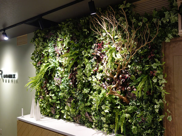福岡の壁面緑化