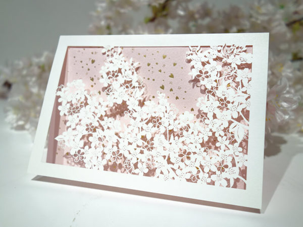 桜のメッセージカード