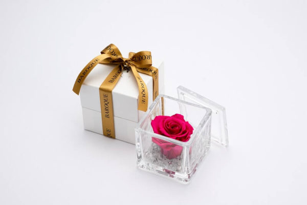ガラスケース入りバラ