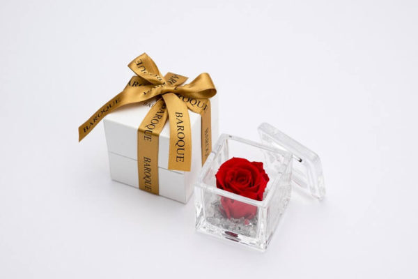 ガラスケース入りバラ