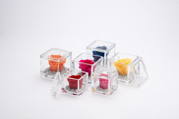 ガラスケース入りバラ